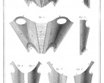 Research - Encyclopédie, ou dictionnaire raisonné des sciences, des arts et des métiers, etc., eds. Denis Diderot and Jean le Rond d'Alembert. University of Chicago: ARTFL Encyclopédie Project (Spring 2013 Edition), Tailleur d'habits et Tailleur de Corps, plate 26_9_20, Robert Morrissey (ed), http://encyclopedie.uchicago.edu/.